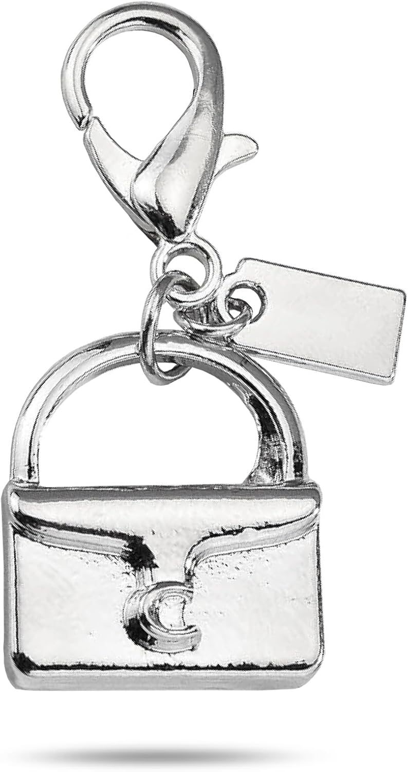 SOPKTA Bag Charms - Cherry Bag Charm Chain, fashionable Purse Charms for women's purse chain - Image 1